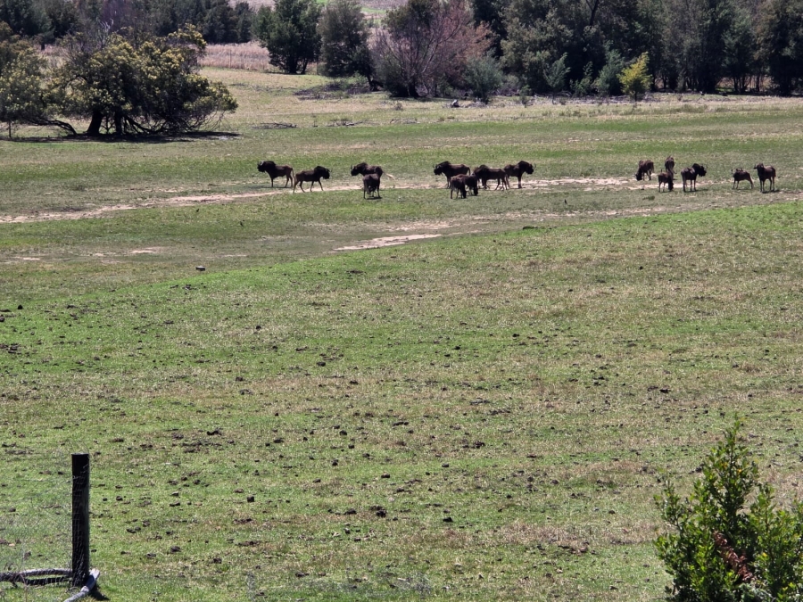 8 Bedroom Property for Sale in Bethlehem Rural Free State